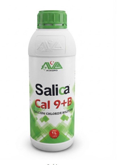 Salica  Cal 9+B