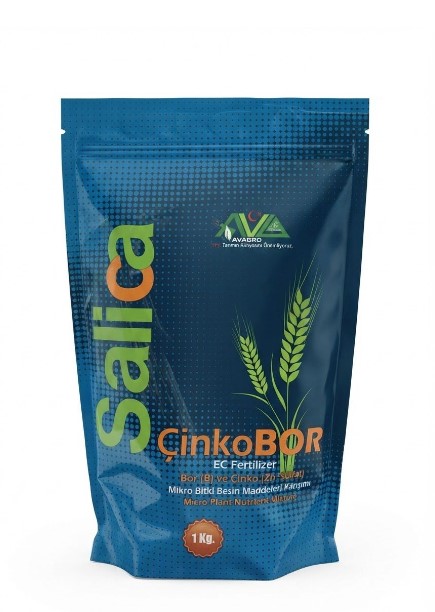 Salica - Cink(zinc)+BOR