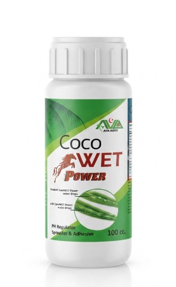 COCO WET